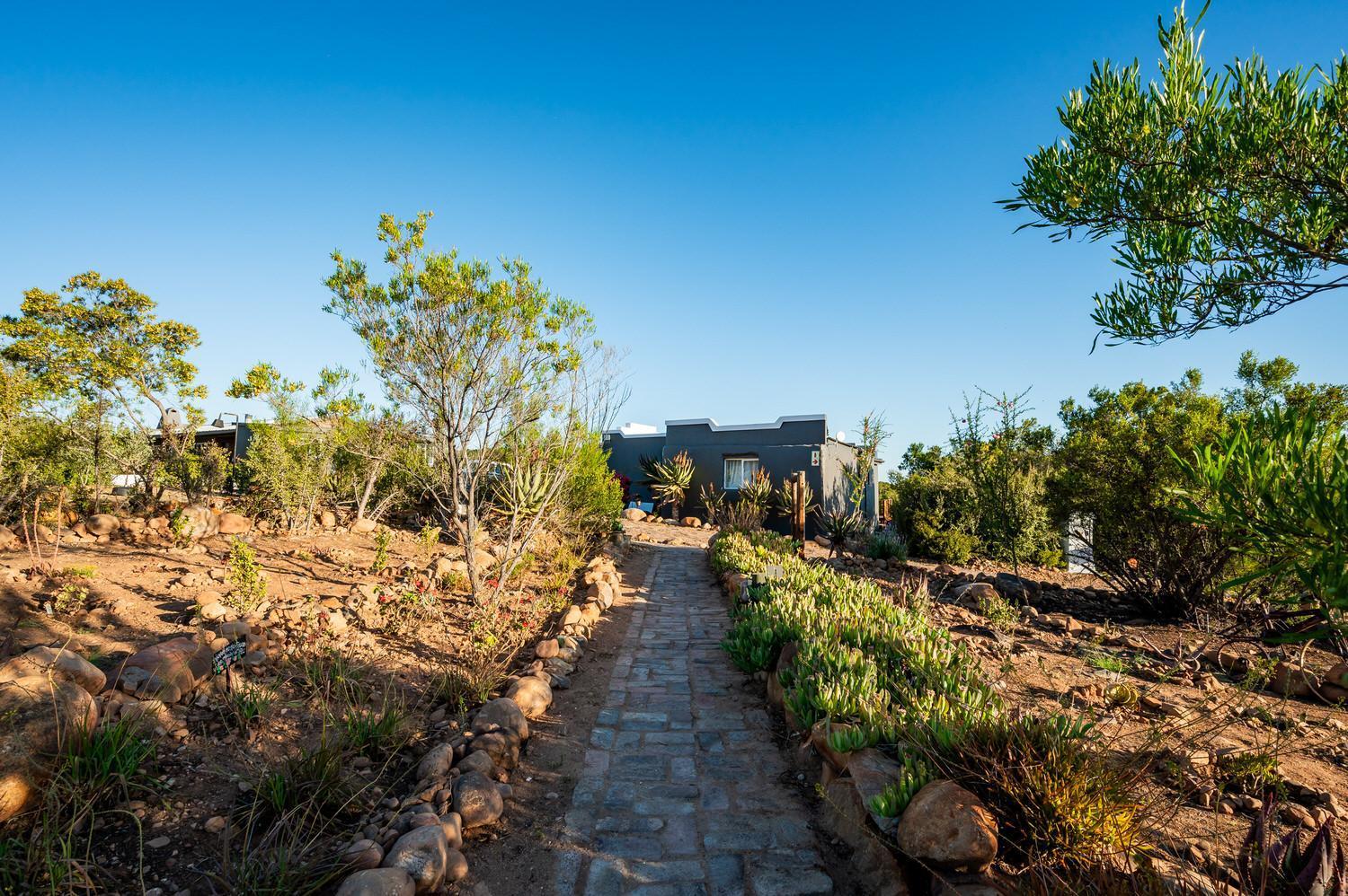 Le Petit Karoo Ranch Bed and Breakfast Oudtshoorn Eksteriør billede