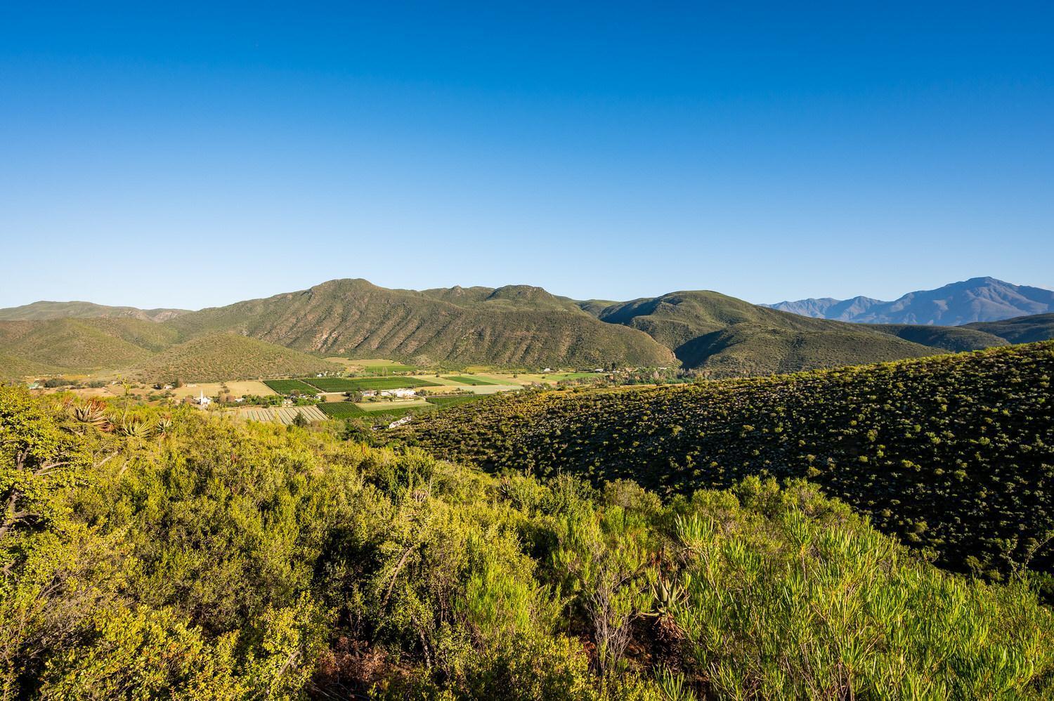 Le Petit Karoo Ranch Bed and Breakfast Oudtshoorn Eksteriør billede