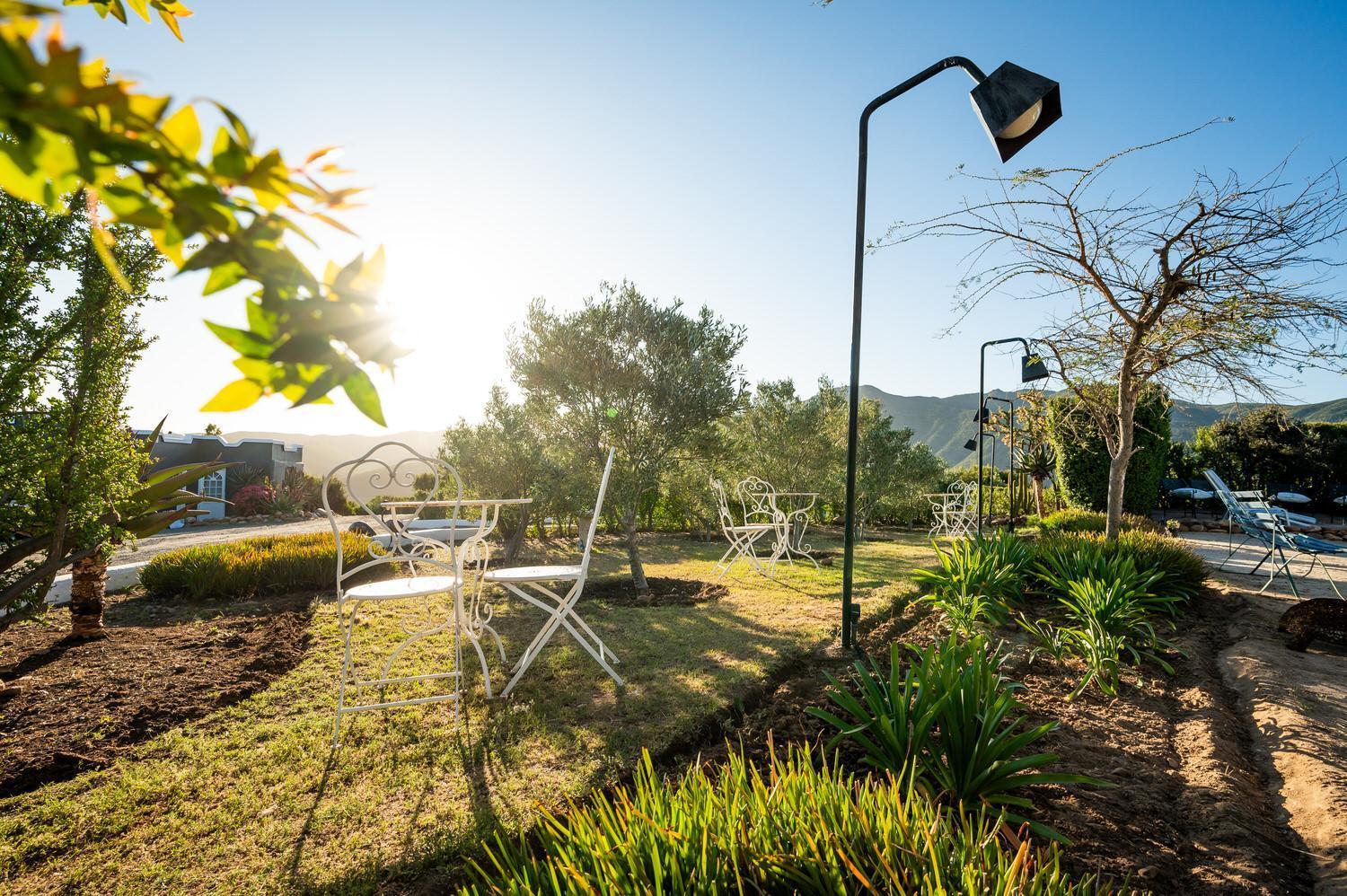 Le Petit Karoo Ranch Bed and Breakfast Oudtshoorn Eksteriør billede