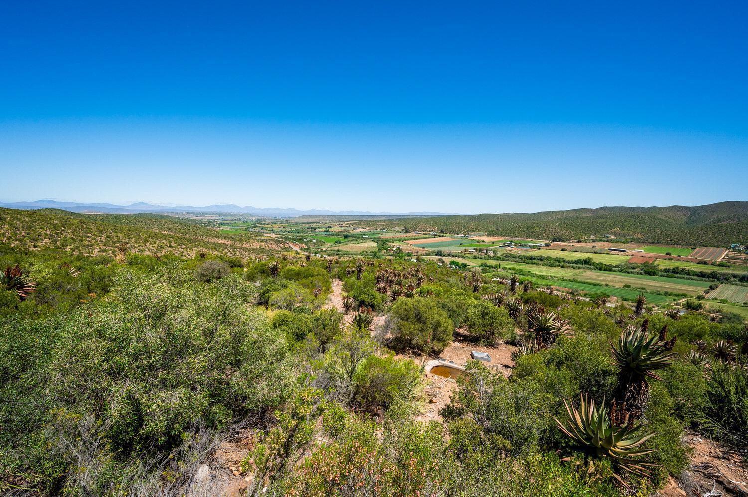 Le Petit Karoo Ranch Bed and Breakfast Oudtshoorn Eksteriør billede