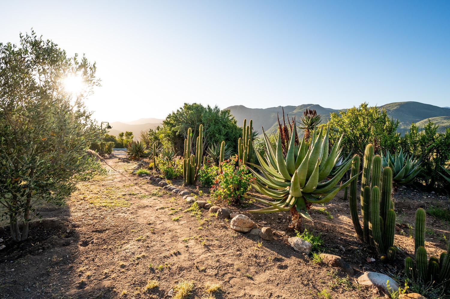 Le Petit Karoo Ranch Bed and Breakfast Oudtshoorn Eksteriør billede
