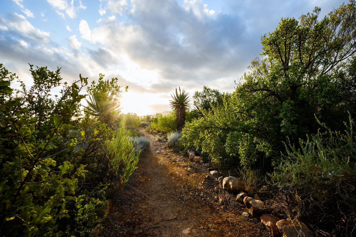 Le Petit Karoo Ranch Bed and Breakfast Oudtshoorn Eksteriør billede
