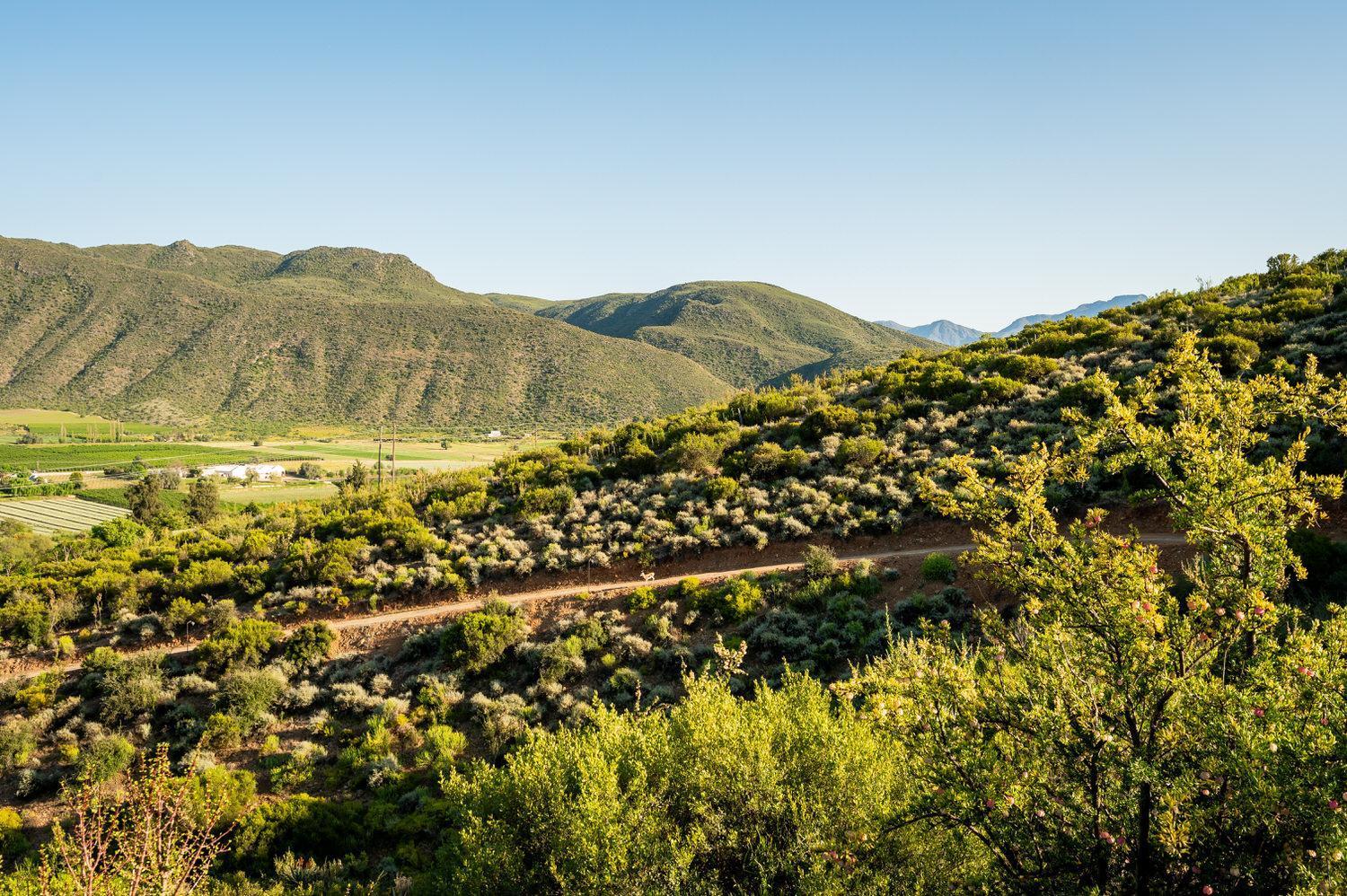 Le Petit Karoo Ranch Bed and Breakfast Oudtshoorn Eksteriør billede
