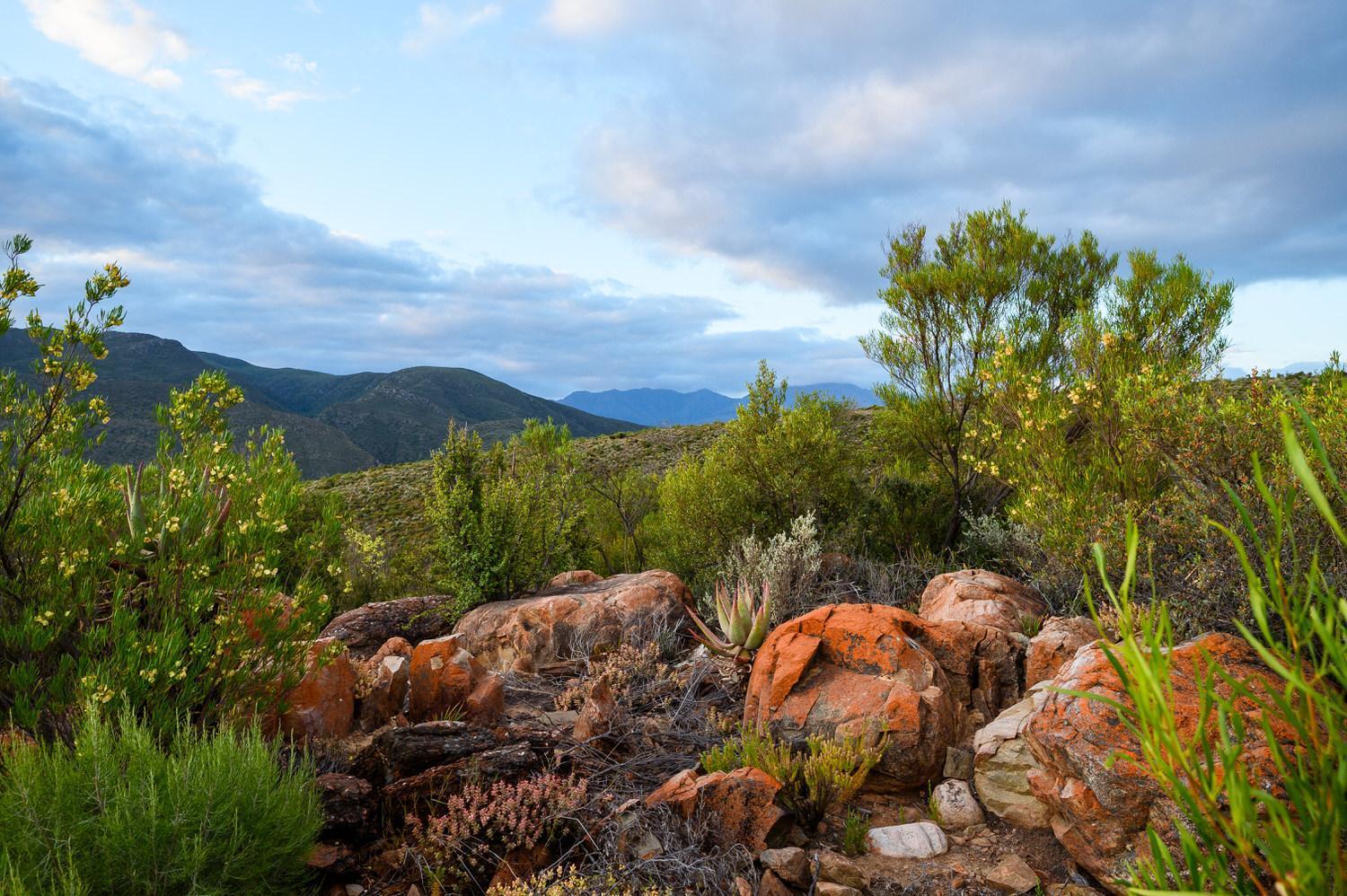 Le Petit Karoo Ranch Bed and Breakfast Oudtshoorn Eksteriør billede