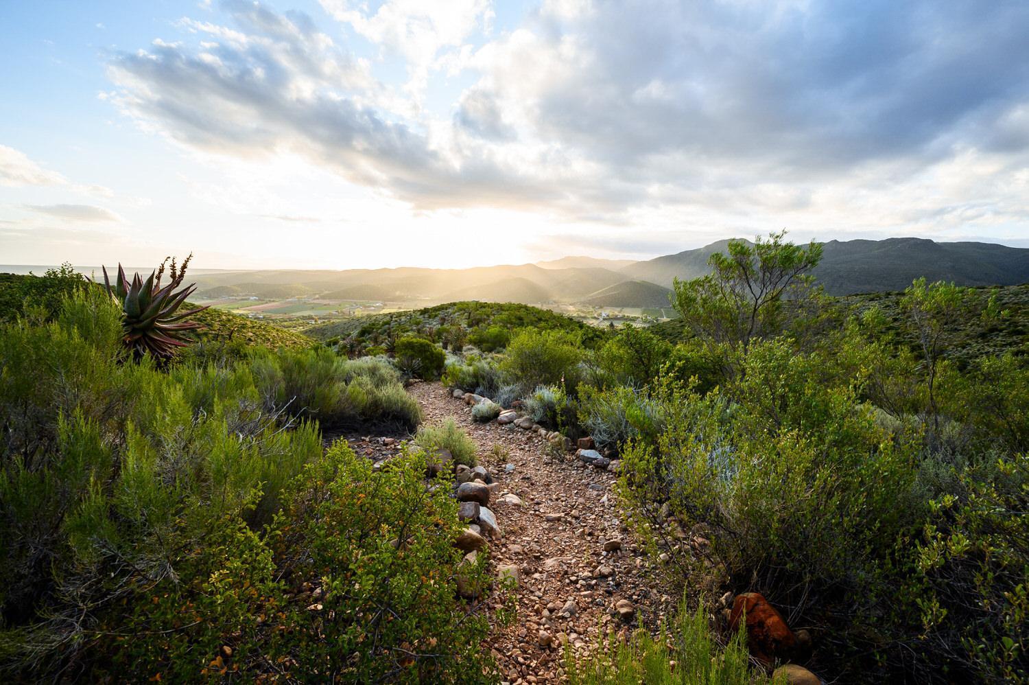 Le Petit Karoo Ranch Bed and Breakfast Oudtshoorn Eksteriør billede