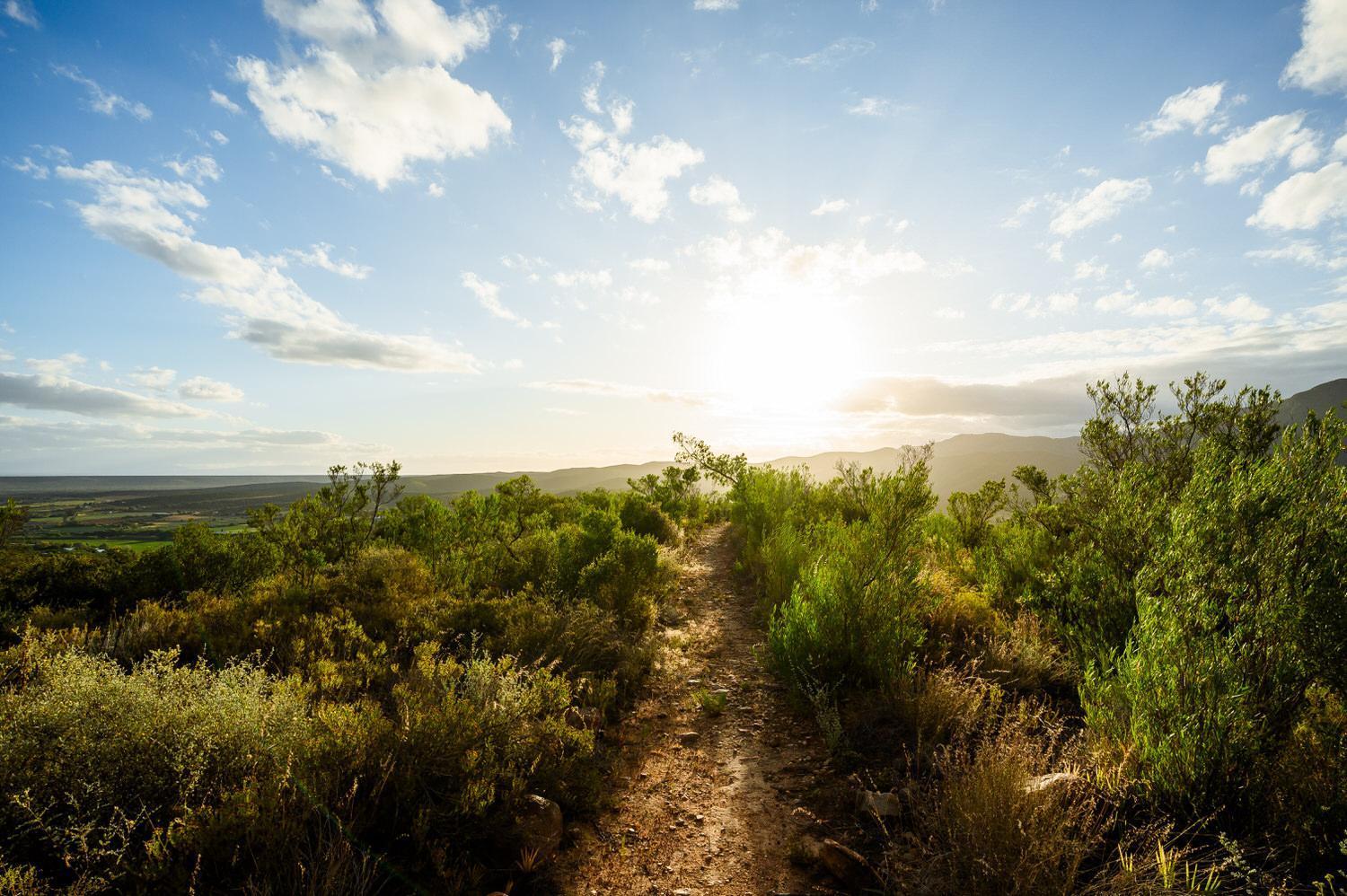 Le Petit Karoo Ranch Bed and Breakfast Oudtshoorn Eksteriør billede