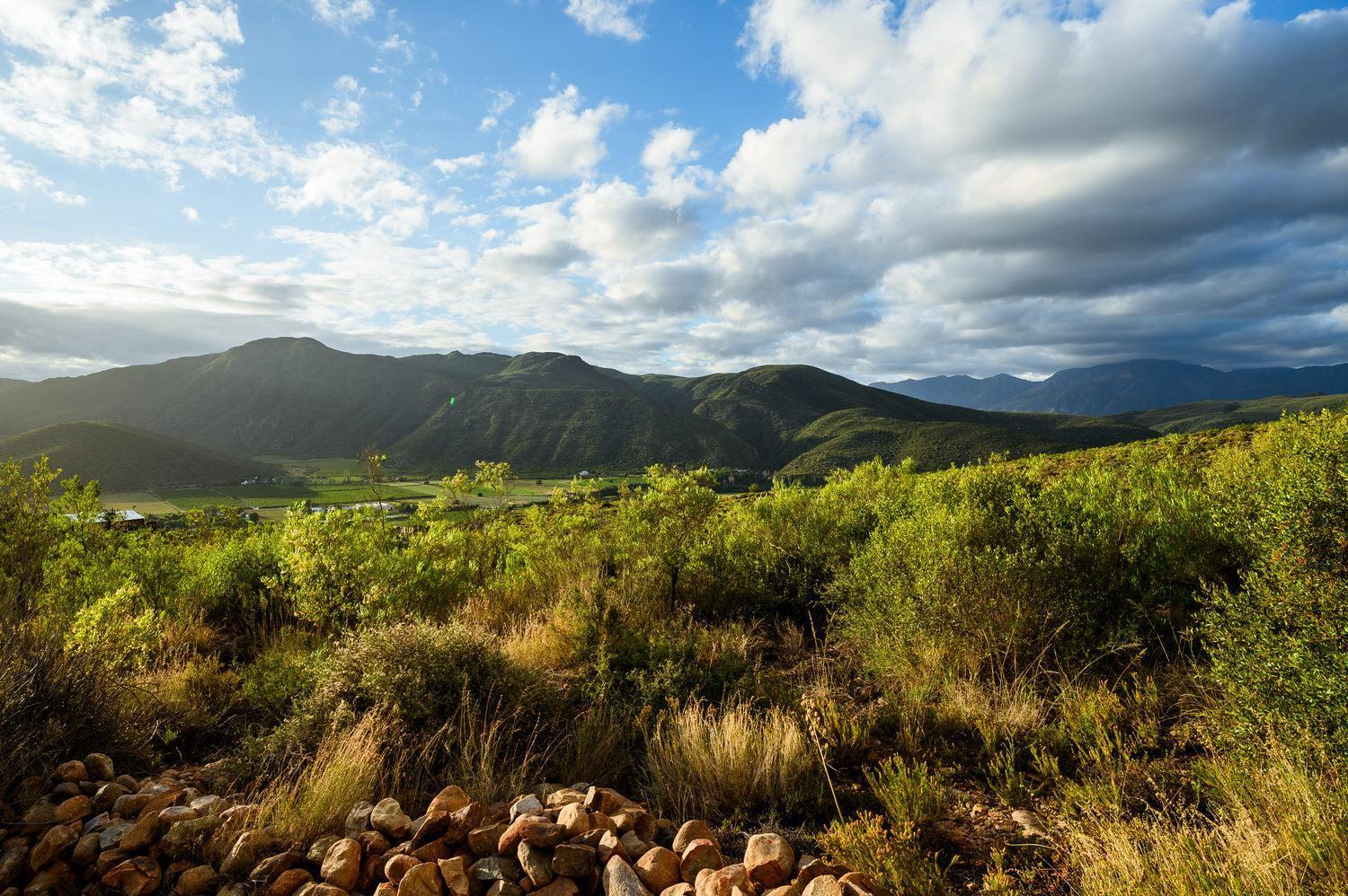 Le Petit Karoo Ranch Bed and Breakfast Oudtshoorn Eksteriør billede