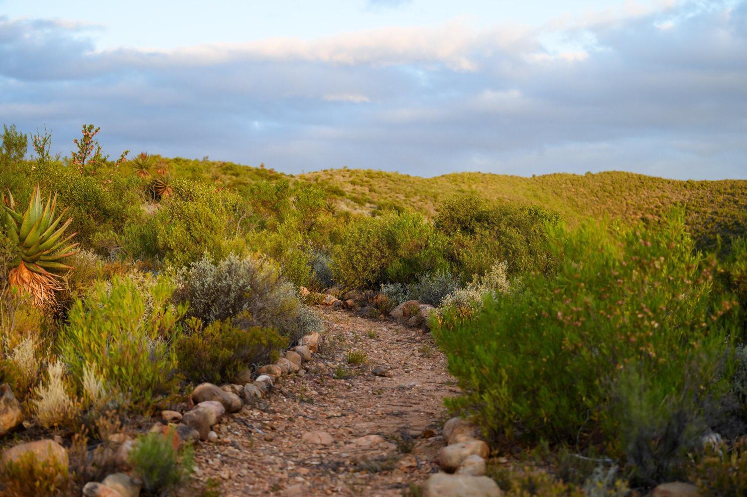 Le Petit Karoo Ranch Bed and Breakfast Oudtshoorn Eksteriør billede