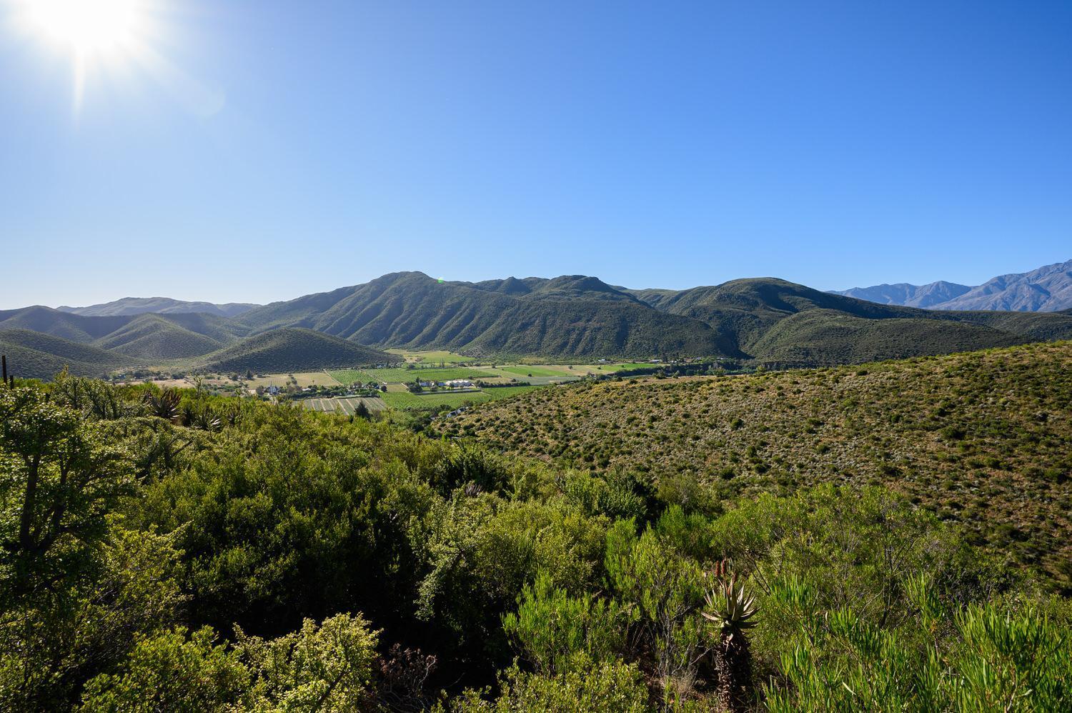 Le Petit Karoo Ranch Bed and Breakfast Oudtshoorn Eksteriør billede